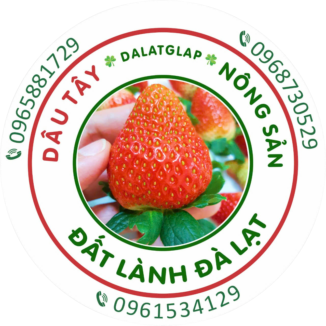 Ảnh đại diện